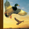 The Complete Hunter Duck Hunting